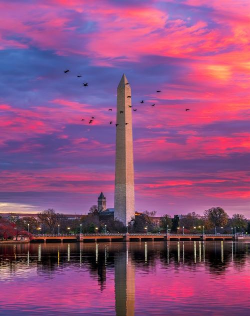 Washington DC (3.5 hrs via Amtrak)
