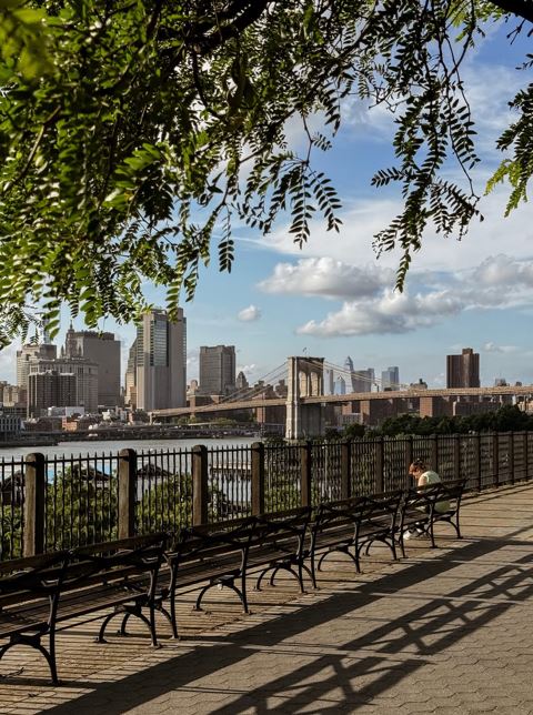 Brooklyn Heights Promenade — The Panorama